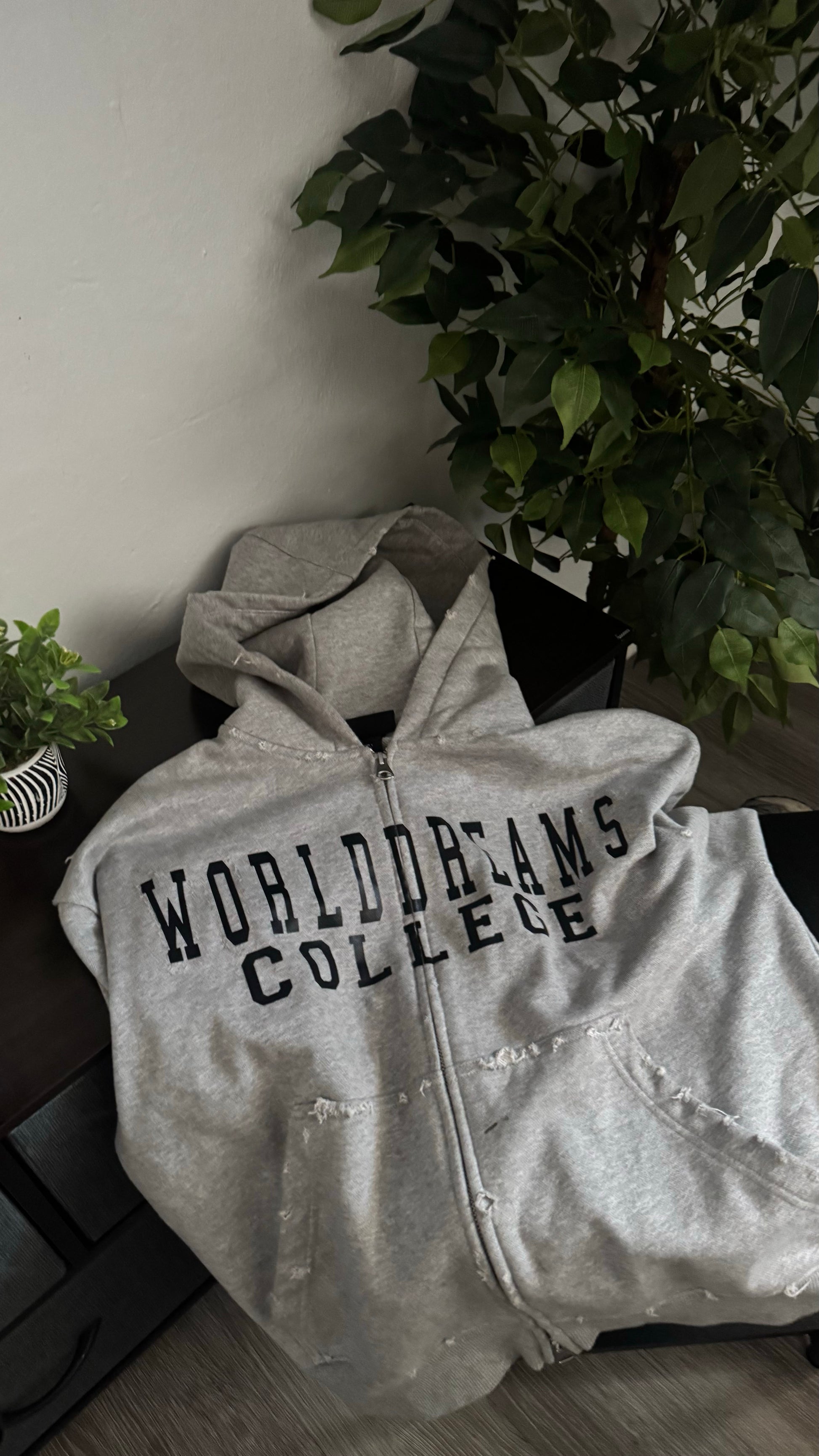 COLLEGE HOODIE